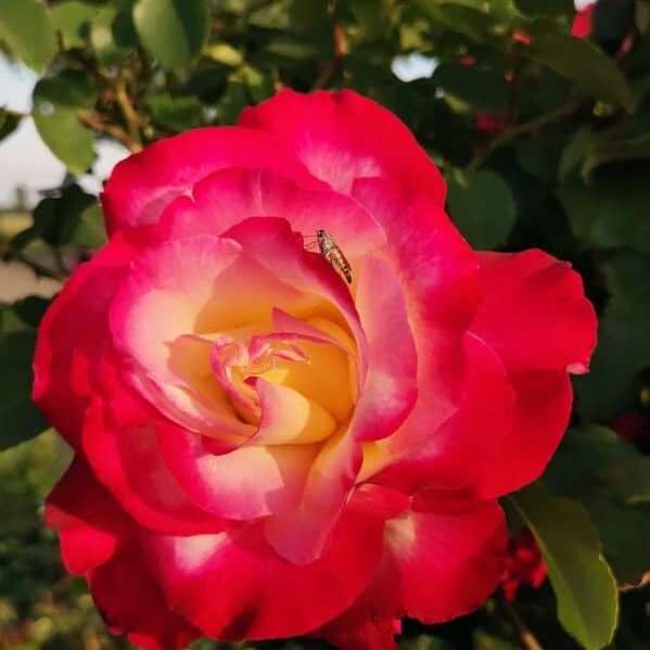 282653391_418944500240141_3005904586059073613_n