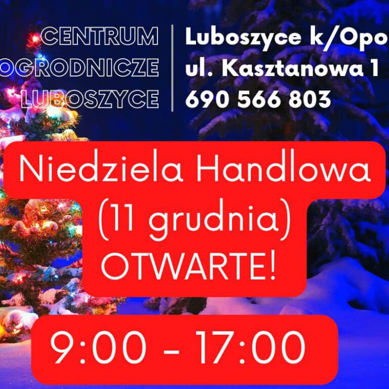 319053514_576647861136470_6132807725923500977_n