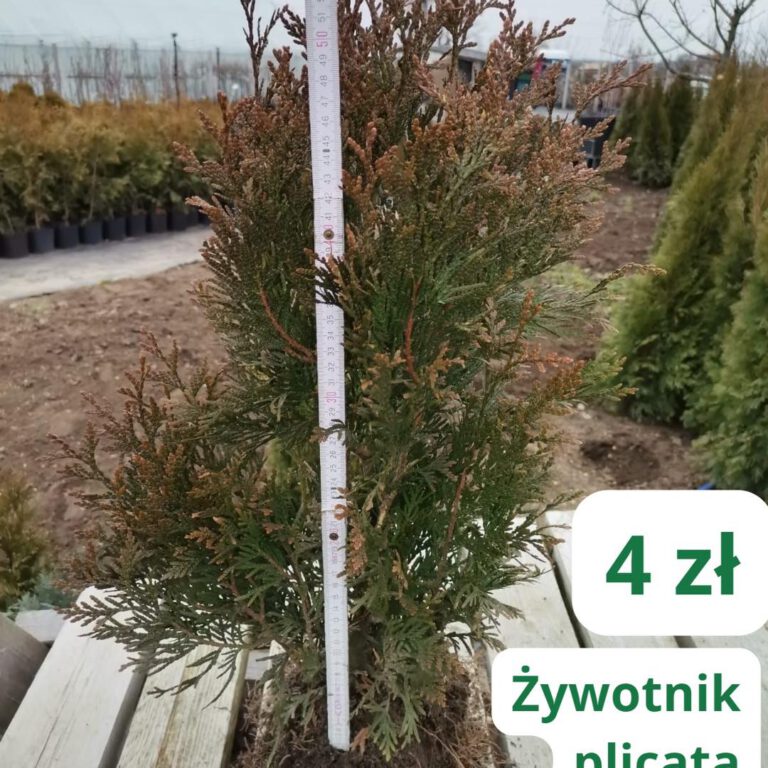 330934964_1668449230242169_3394579568501200666_n