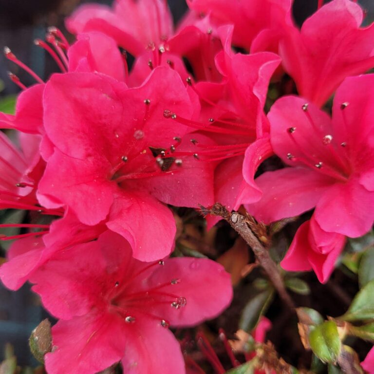 440191559_963676215766964_889503330628969633_n